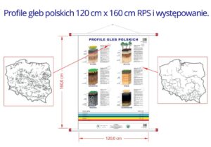 Profile gleb polskich 