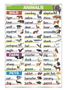 Animals: wild, farm, pets plansza angielski plakat