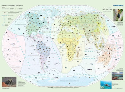 Krainy zoogeograficzne świata mapa świat