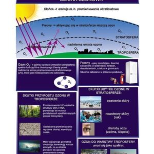 Dziura ozonowa WDS
