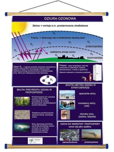 Dziura ozonowa WDS