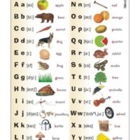 The alphabet alfabet angielski plansza plakat