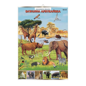 Sawanna afrykańska zwierzęta plansza plakat