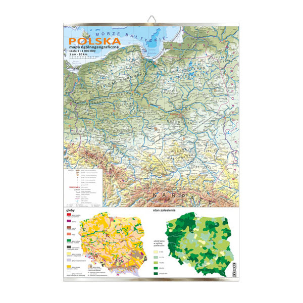 Polska mapa V ogólnogeograficzna gleb i zalesienia