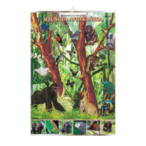 Dżungla afrykańska zwierzęta plansza plakat