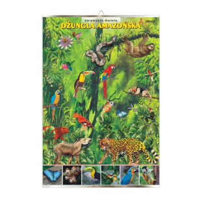 Dżungla amazońska zwierzęta plansza plakat