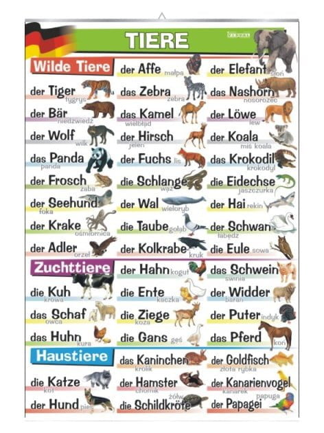 Tiere słownictwo niemiecki plansza plakat