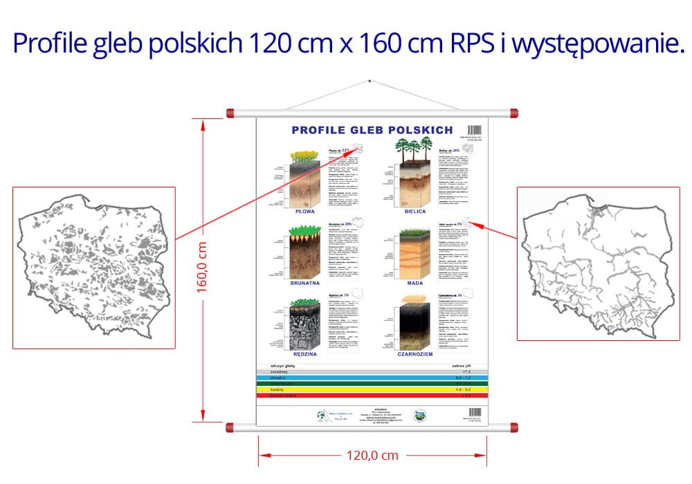 Profile 6 najpopularniejszych gleb w Polsce gleb