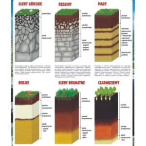 Profile glebowe nauka o ziemi plansza plakat